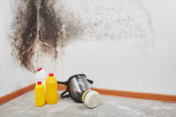 Crawl Space Mold Removal in Hoopeston, IL